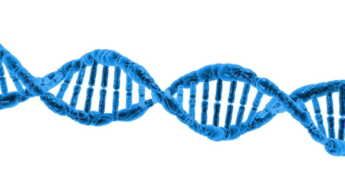 Pourquoi deux tests ne sont pas égaux ?